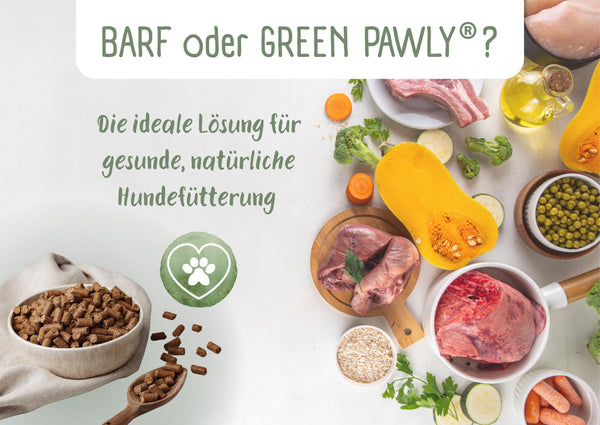 BARF oder GREEN PAWLY®? Die ideale Lösung für gesunde, natürliche Hundefütterung