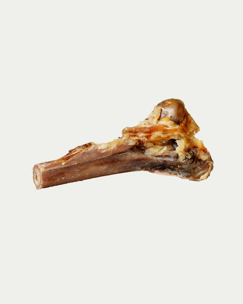 Strauß Kauknochen