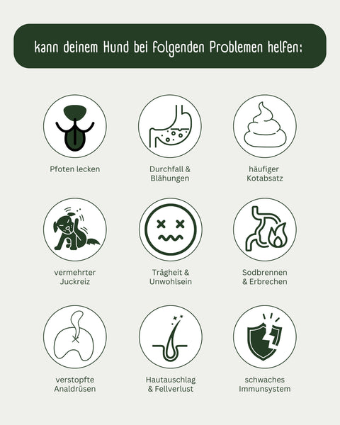 MAGEN-FREUND