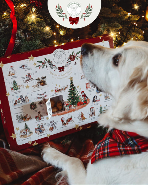 Adventskalender XXL