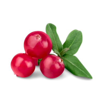 Cranberry
