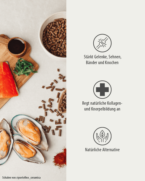 BEWEGUNGS-FREUND