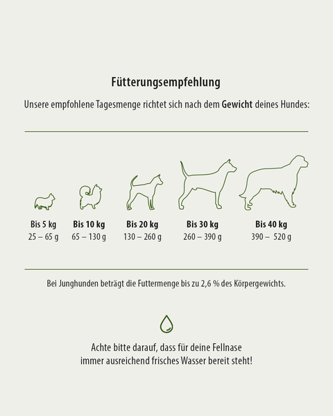 GREEN PAWLY® Complete HUHN +10 Superfoods