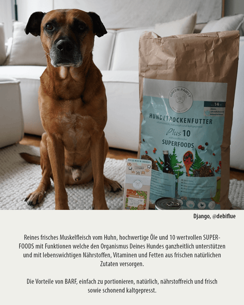 GREEN PAWLY® Complete HUHN +10 Superfoods
