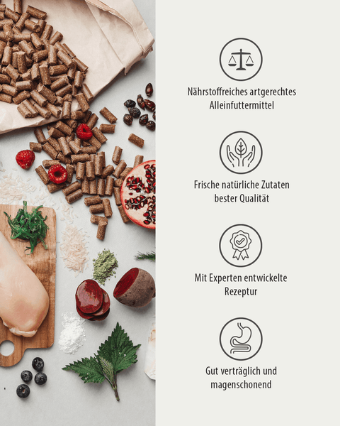 GREEN PAWLY® Complete HUHN +10 Superfoods