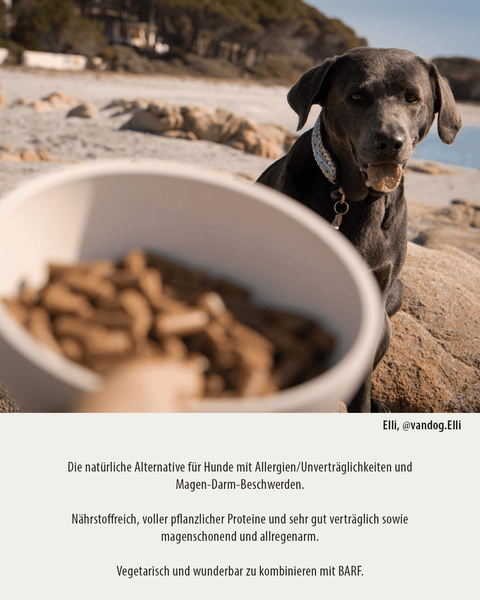 vegetarisches Trockenfutter