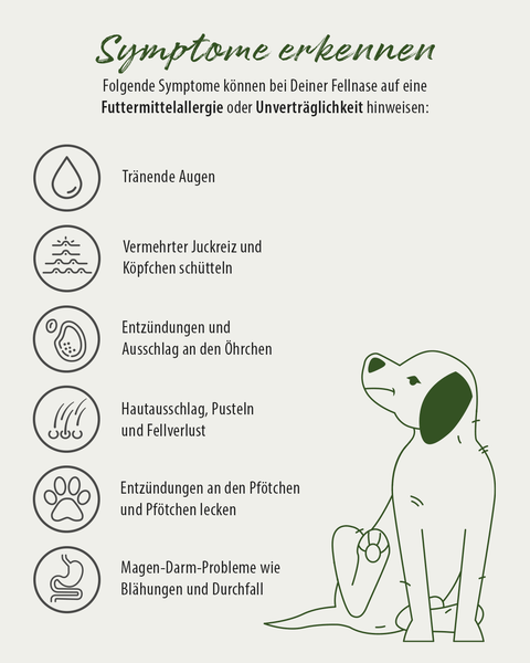 Hundefutter für Allergiker kaltgepresst