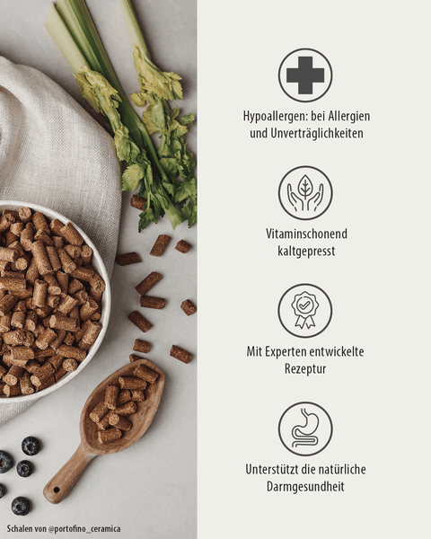 kaltgepresstes Trockenfutter ohne Fleisch