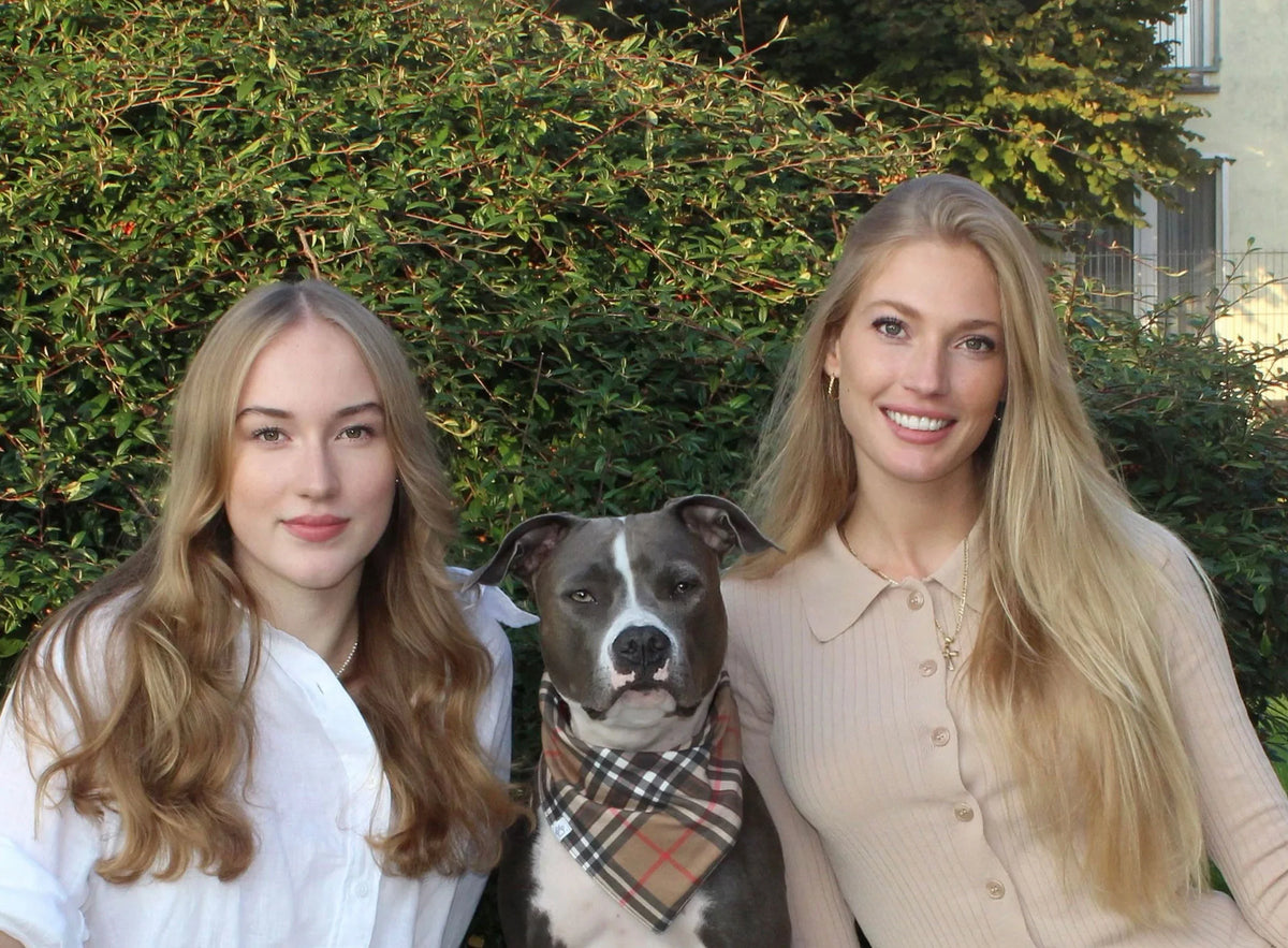Alles begann mit Lilly