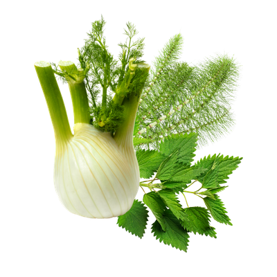 Kräutermischung (Brennnesselblätter, Schachtelhalmkraut, Fenchel)