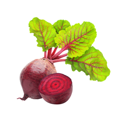 Rote Beete