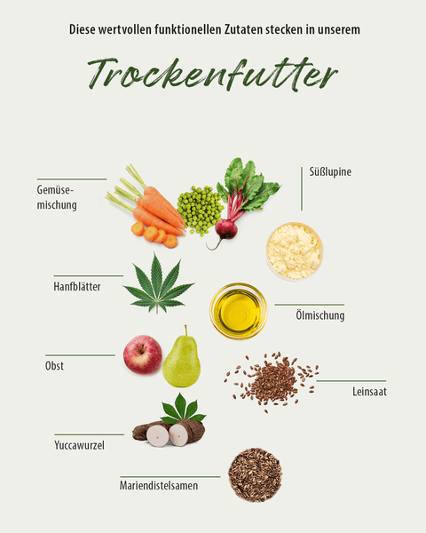 vegetarisches gesundes Hundefutter