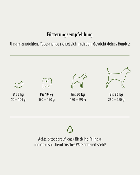 allergikerfreundliches Hundefutter ohne Fleisch