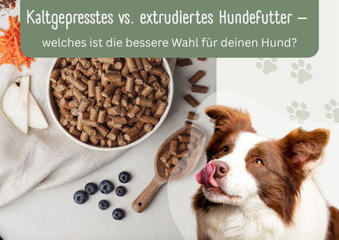 Kaltgepresstes vs. extrudiertes Hundefutter – welches ist die bessere Wahl für Deinen Hund?