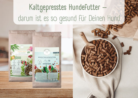 Kaltgepresstes Hundefutter – darum ist es so gesund für Deinen Hund