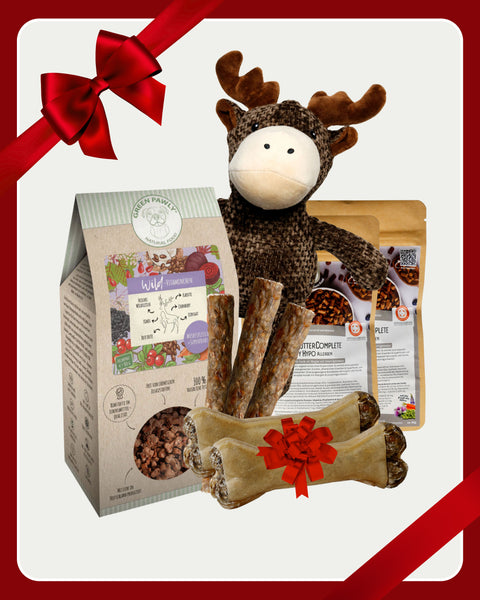 Weihnachts-Set - limitiert