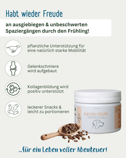 BEWEGUNGS-FREUND