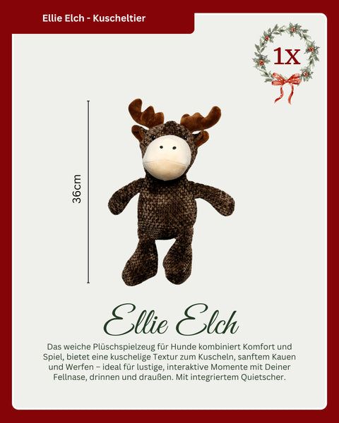 Weihnachts-Set - limitiert