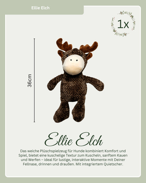 Genuss Paket - limitiert