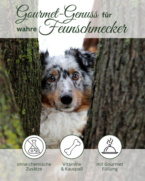 Truthahn-Cranberry Knochen - limitiert