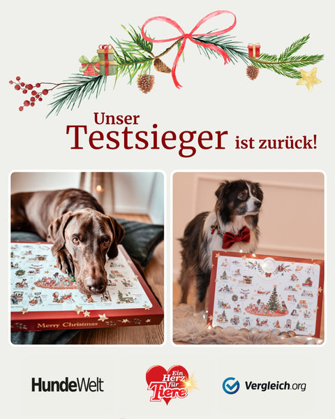 Adventskalender XXL