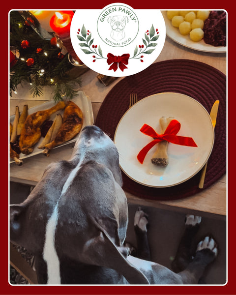 Weihnachtsknochen - NEU✨