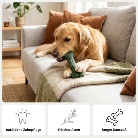 DENTAL KRÄUTERKNOCHEN – Zahnpflege Kauknochen für Hunde mit Salbei, Spirulina & Rinderhaut – ohne Chemie & Gluten – GREEN PAWLY®
