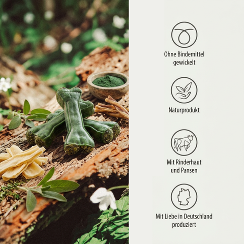 DENTAL KRÄUTERKNOCHEN – Zahnpflege Kauknochen für Hunde mit Salbei, Spirulina & Rinderhaut – ohne Chemie & Gluten – GREEN PAWLY®