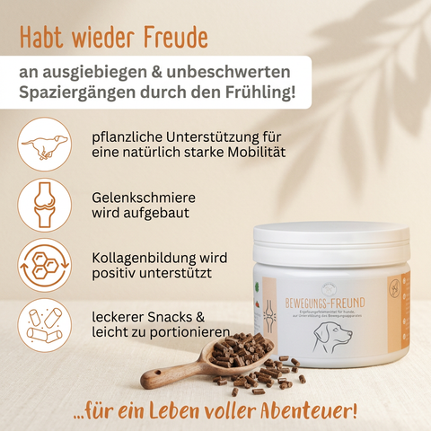 BEWEGUNGS-FREUND – Gelenke Mobilität Hunde Ergänzungsfutter Grünlippmuschel Wildlachs Algen ohne Zusätze Made in Germany GREEN PAWLY®