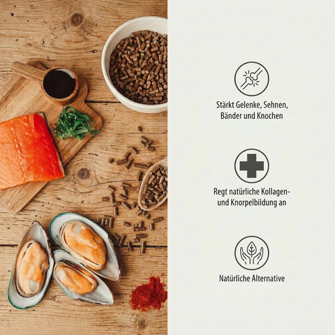BEWEGUNGS-FREUND – Gelenke Mobilität Hunde Ergänzungsfutter Grünlippmuschel Wildlachs Algen ohne Zusätze Made in Germany GREEN PAWLY®