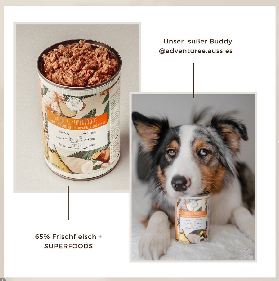 Tipps für sensible Hunde