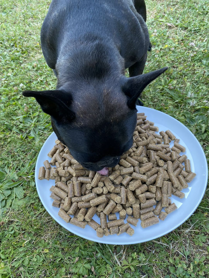 Wird gerne gefressen