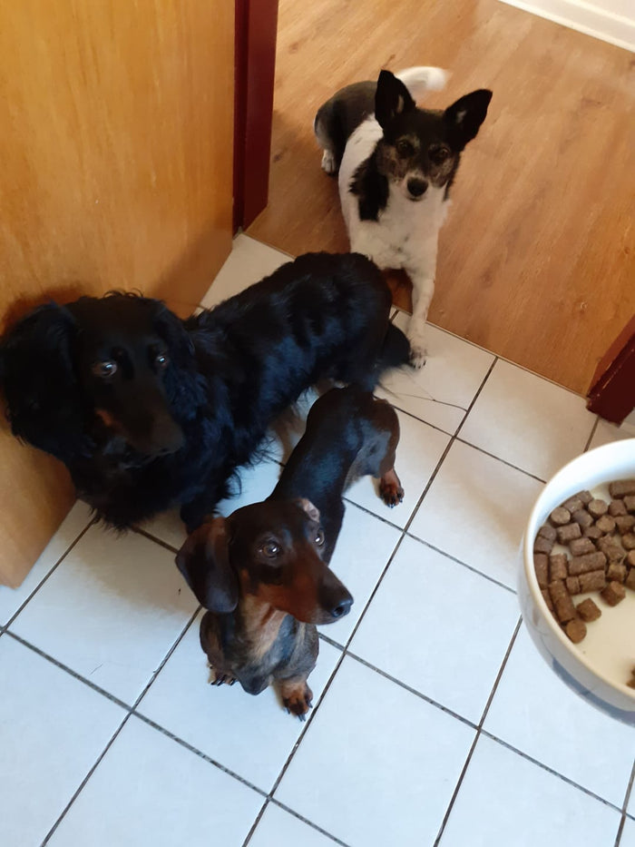 Gut verträglich im Alltag