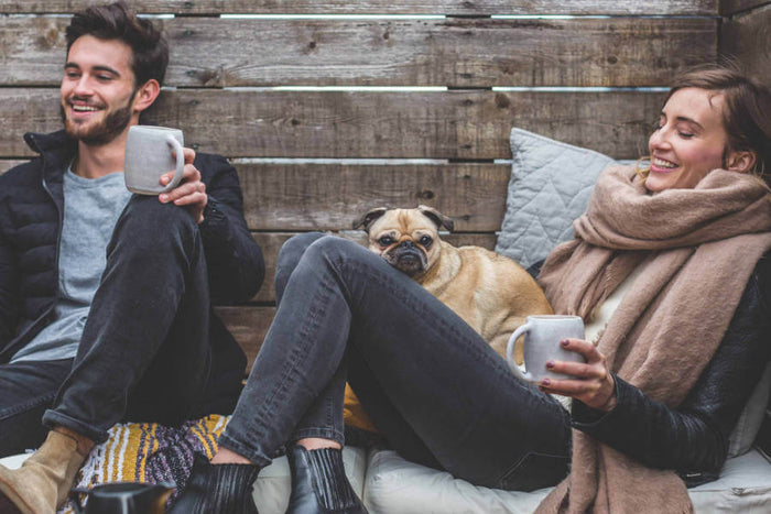 Von Hundehaltern weiterempfohlen