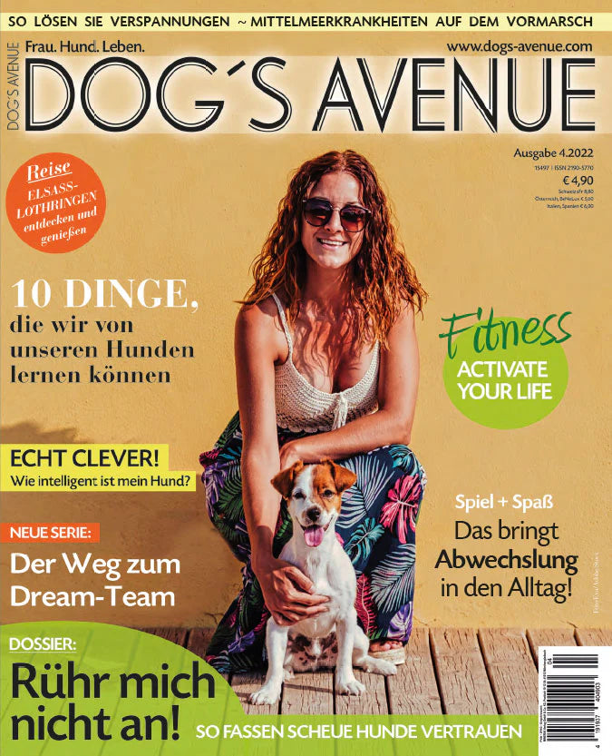 DOG'S AVENUE