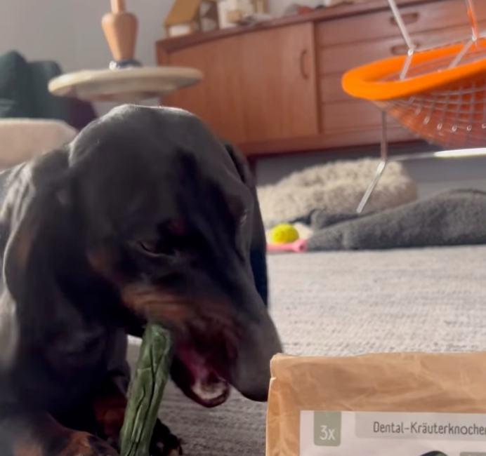 Fütterung im Alltag