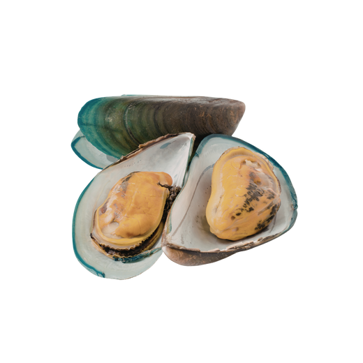 Muschelfleischextrakt (Perna canaliculus)