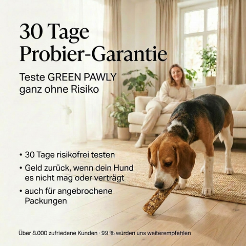POWER-BAR – Energie Snack für Hunde mit Superfoods – natürlicher Kausnack – ohne künstliche Zusätze – GREEN PAWLY®
