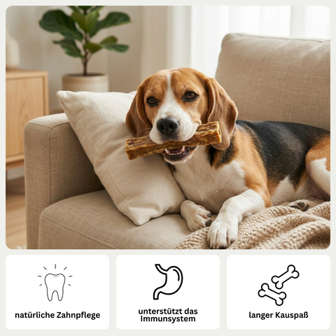 POWER-BAR – Energie Snack für Hunde mit Superfoods – natürlicher Kausnack – ohne künstliche Zusätze – GREEN PAWLY®