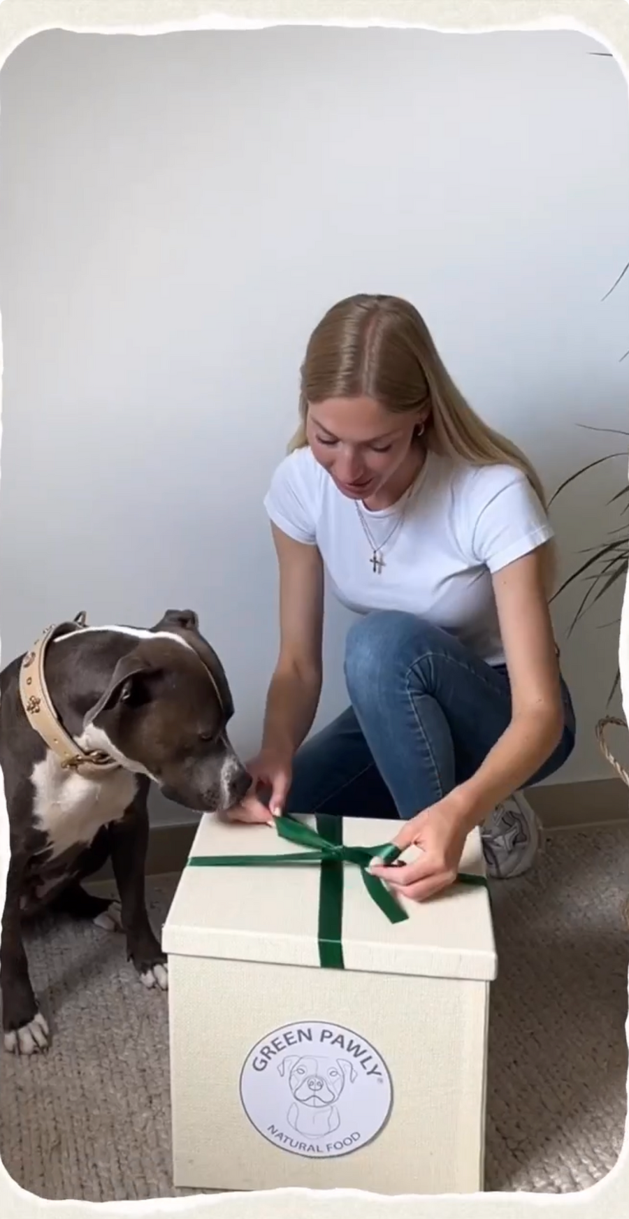 Fütterung im Alltag