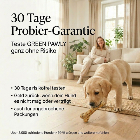 VITAL KNOCHEN - vegetarischer Kauknochen für Hunde, mit Superfoods – magenschonend, für sensible Hunde geeignet – auch für Welpen – GREEN PAWLY®