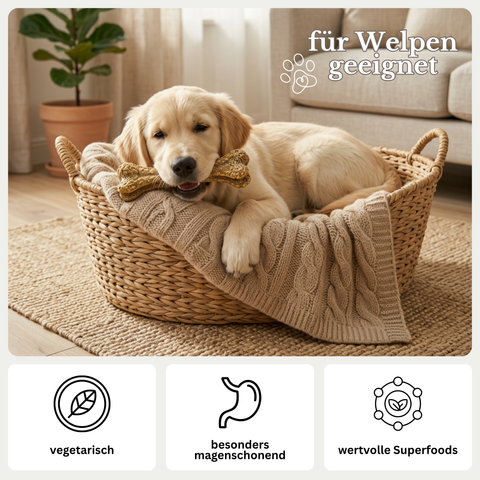 VITAL KNOCHEN - vegetarischer Kauknochen für Hunde, mit Superfoods – magenschonend, für sensible Hunde geeignet – auch für Welpen – GREEN PAWLY®