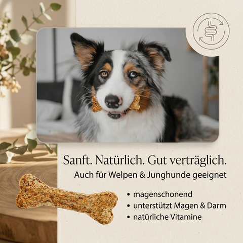 VITAL KNOCHEN - vegetarischer Kauknochen für Hunde, mit Superfoods – magenschonend, für sensible Hunde geeignet – auch für Welpen – GREEN PAWLY®