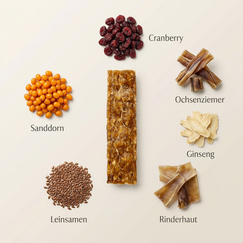 POWER-BAR – Energie Snack für Hunde mit Superfoods – natürlicher Kausnack – ohne künstliche Zusätze – GREEN PAWLY®